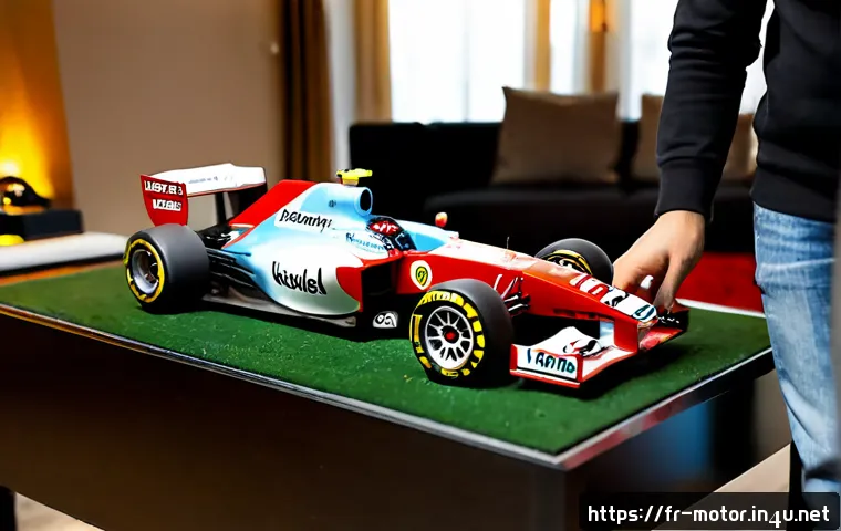 F1 팬클럽 활동 관련 이미지 1